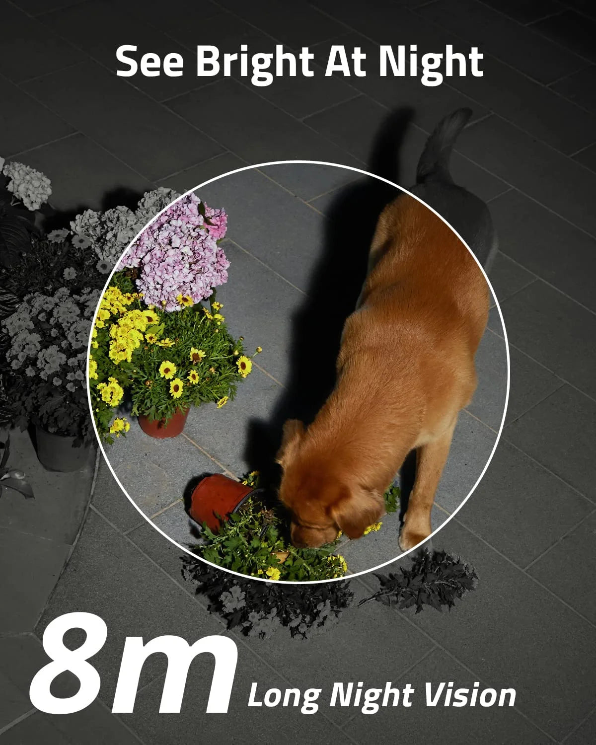 Solocam S230 Wireless Outdoor Solar Spotlight 2K Camera, 3-Cam Kit, White, 3-Pack