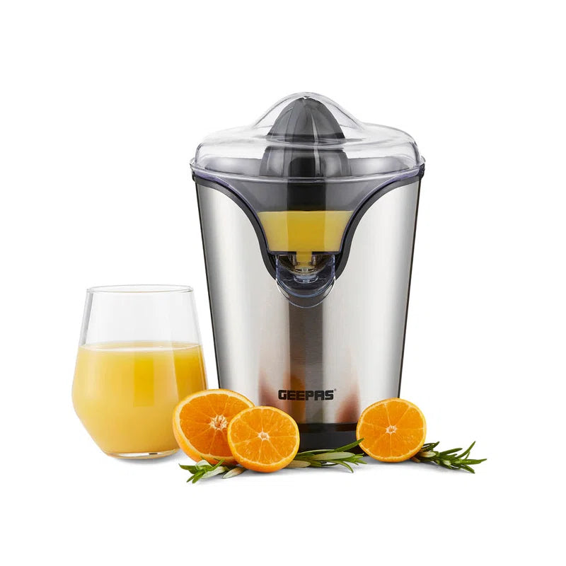 100W Citrus Juicer Electric Orange Juicer Professional